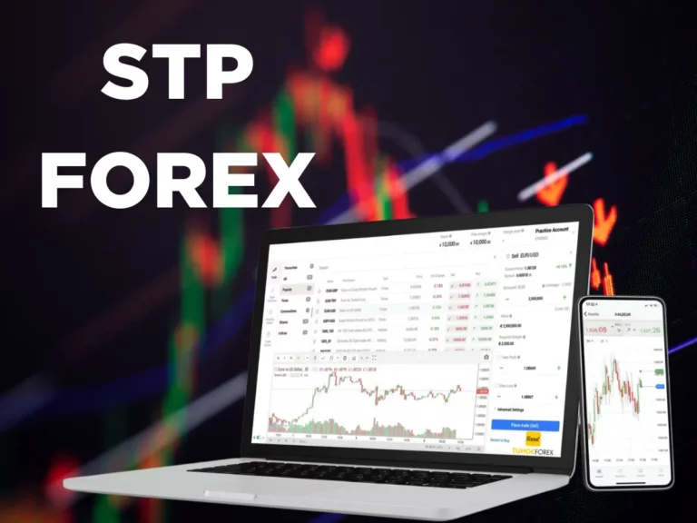 Bí quyết lựa chọn sàn STP forex uy tín cho trader